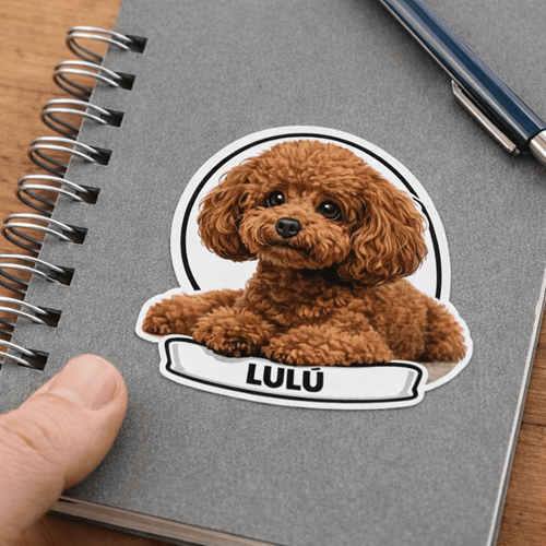 lulu-cuaderno