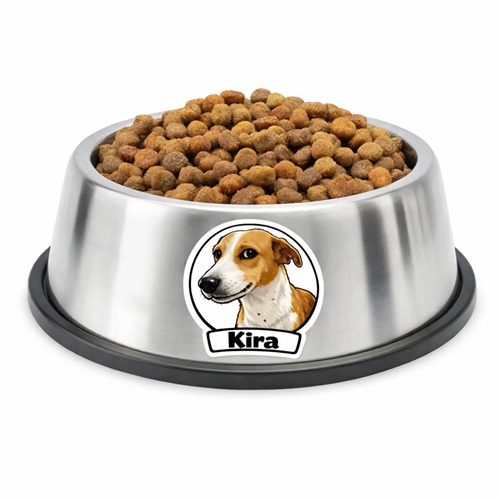 Foto de plato de perro con una etiqueta pets con la imagen del perrito y su nombre