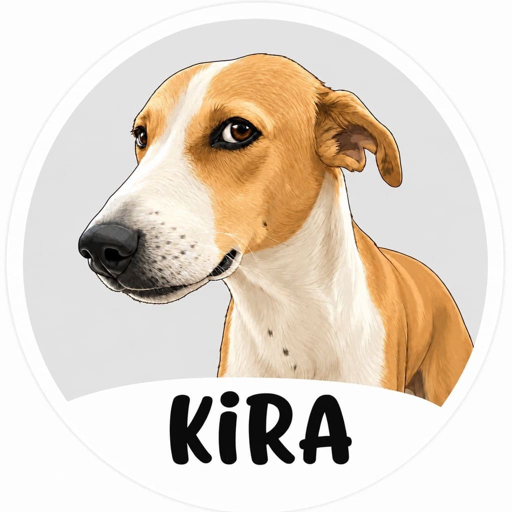 Etiquetas Pets mascotas