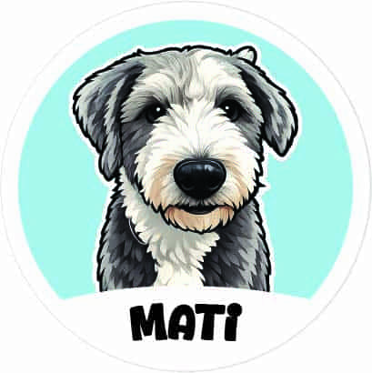 Etiquetas Pets mascotas
