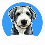 Pet-Azul