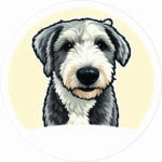 Pet-Crema