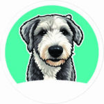 Pet-Turquesa