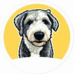 Pet-Amarillo