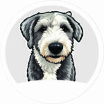 Pet-Gris