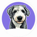 Pet-Morado
