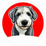 Pet-Rojo