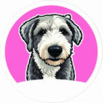 Pet-Rosado