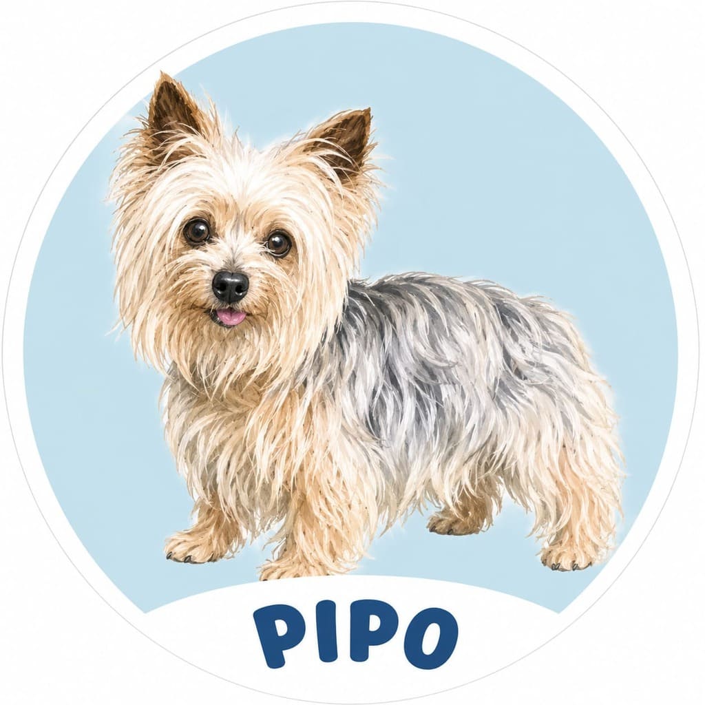 Etiquetas Pets mascotas
