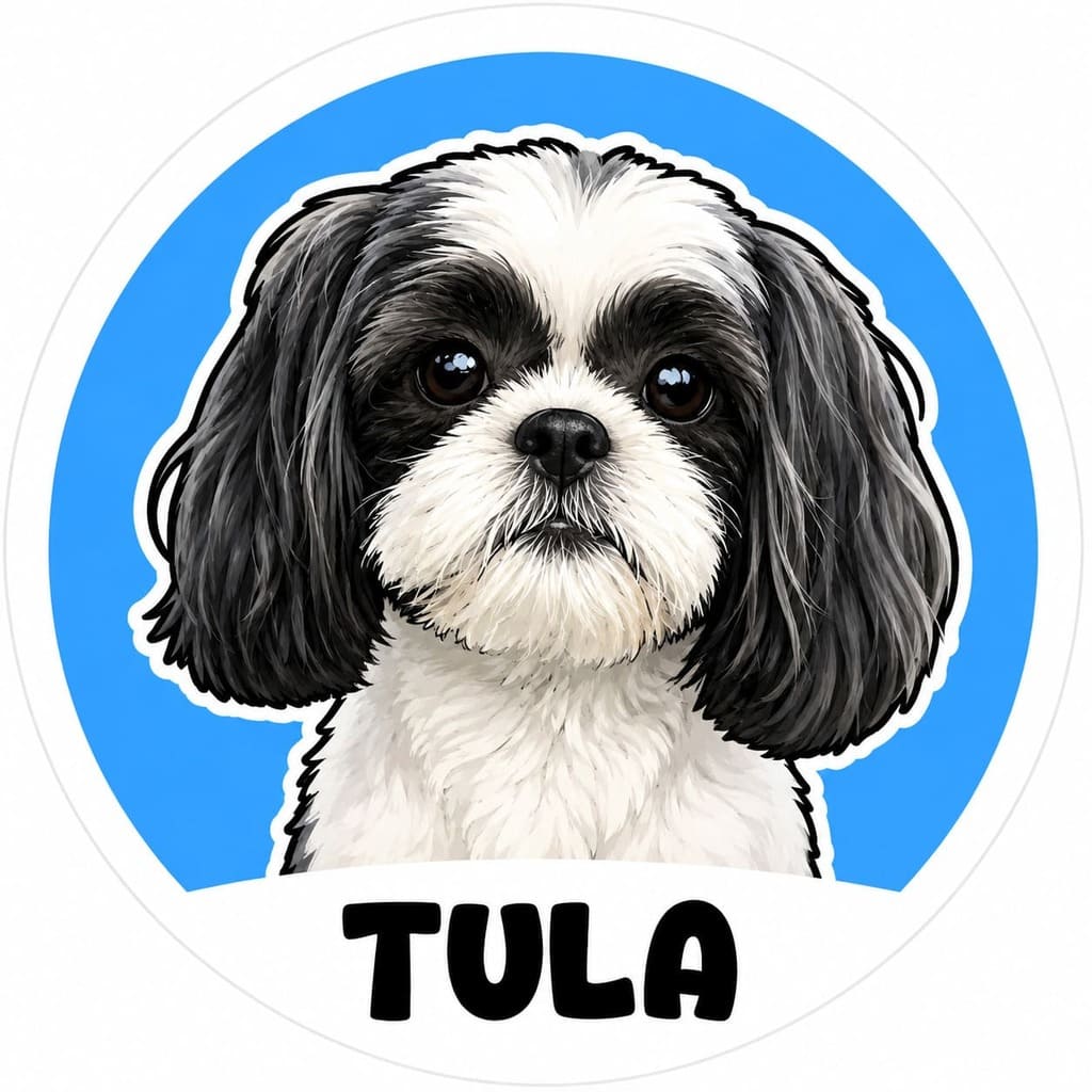 Etiquetas Pets mascotas